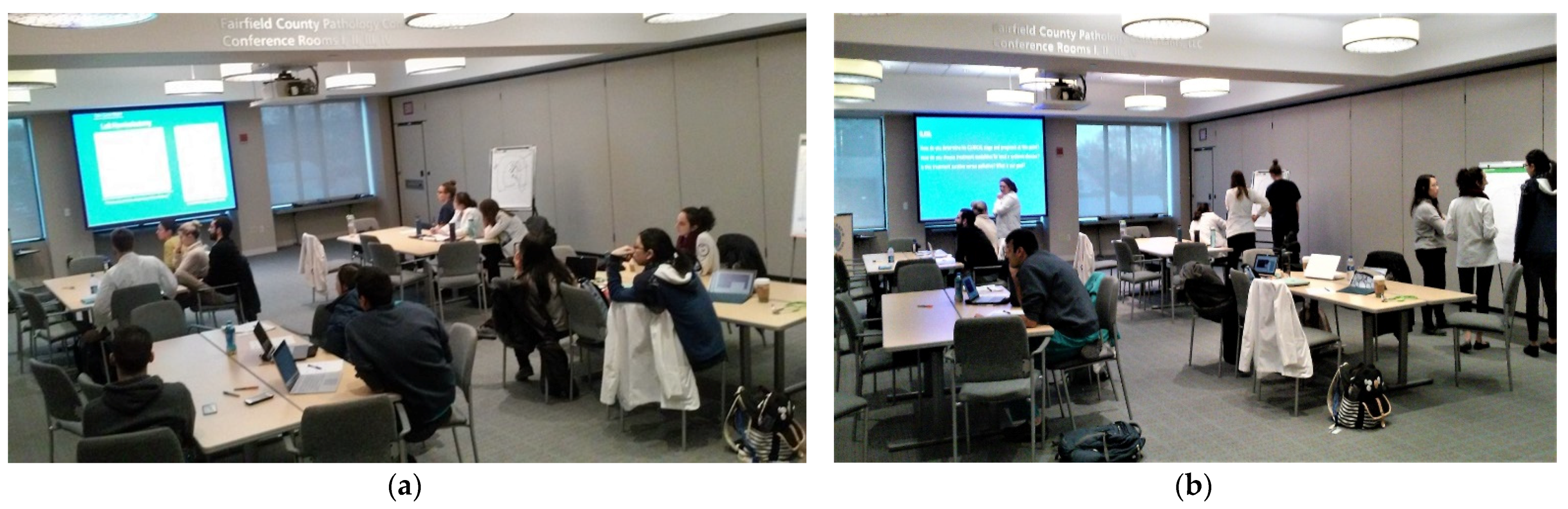 Education 12 00557 g005