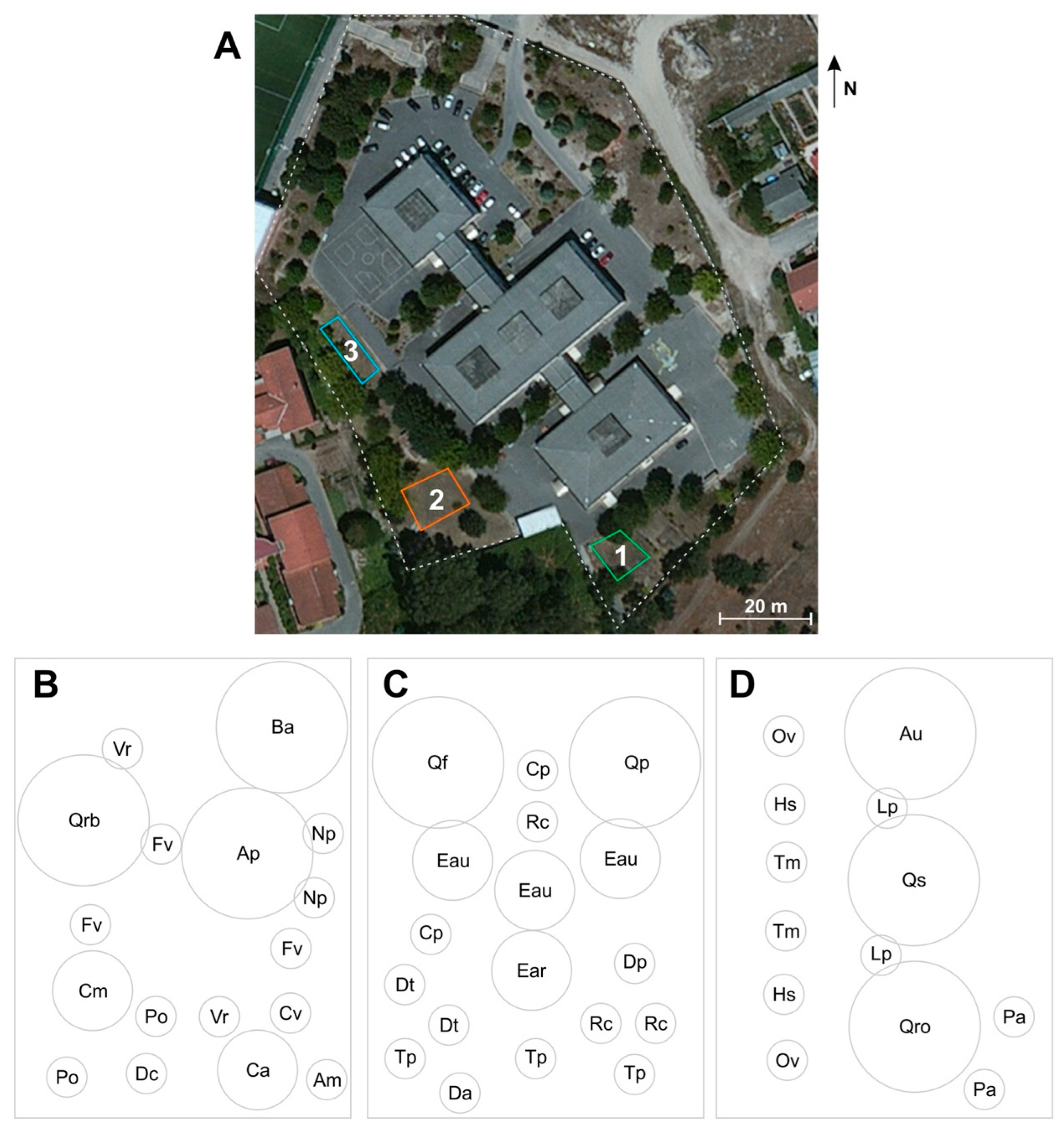 Education 12 00619 g002