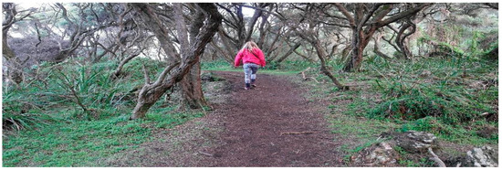 Education 12 00630 g003