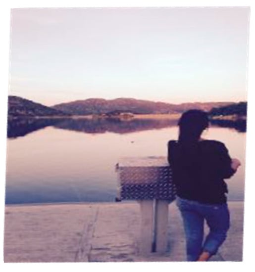 Education 12 00630 g004