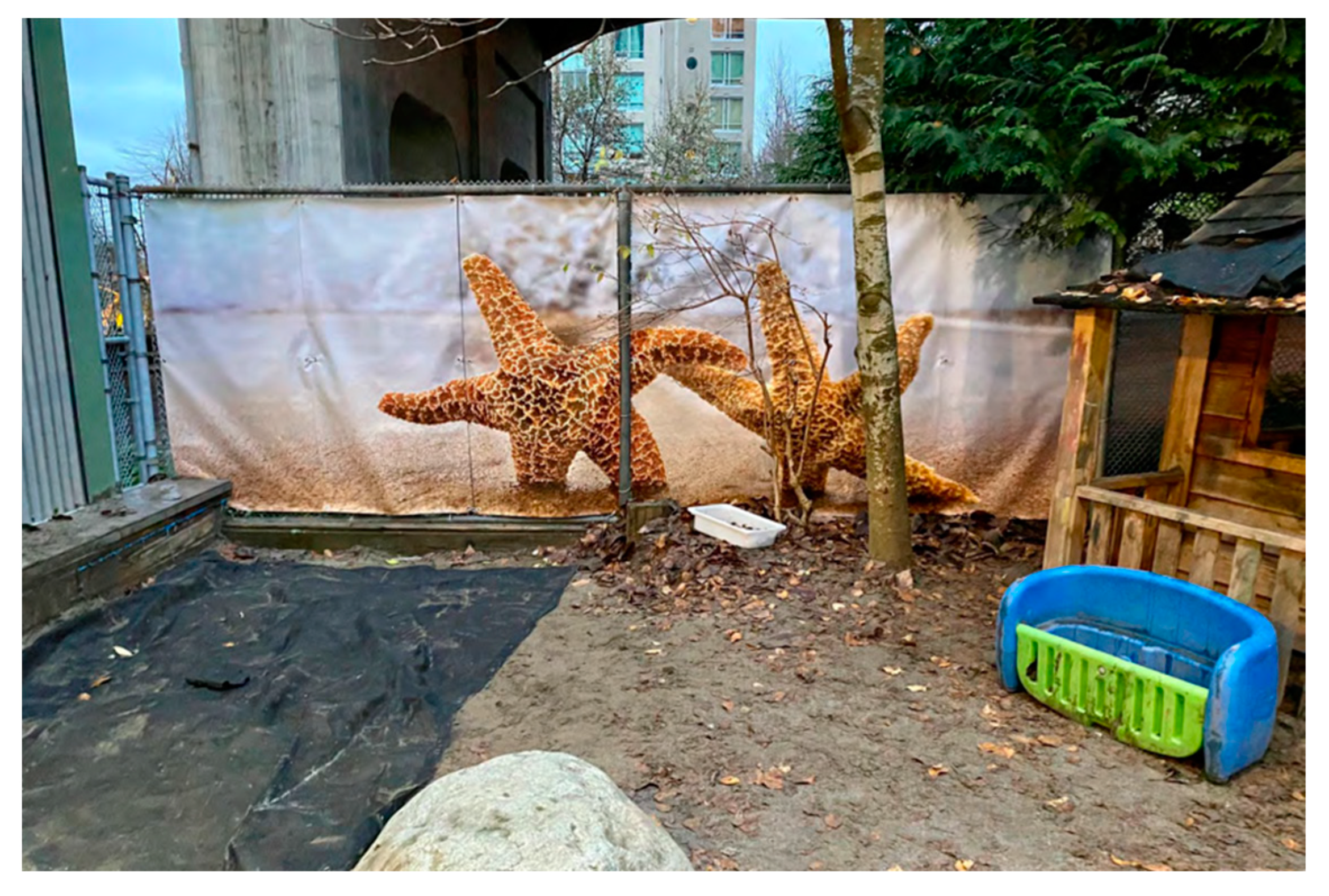 Education 12 00653 g026