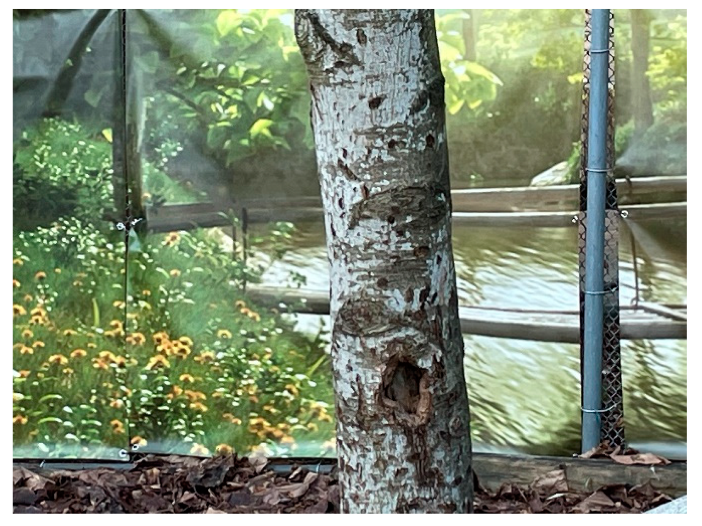 Education 12 00653 g028