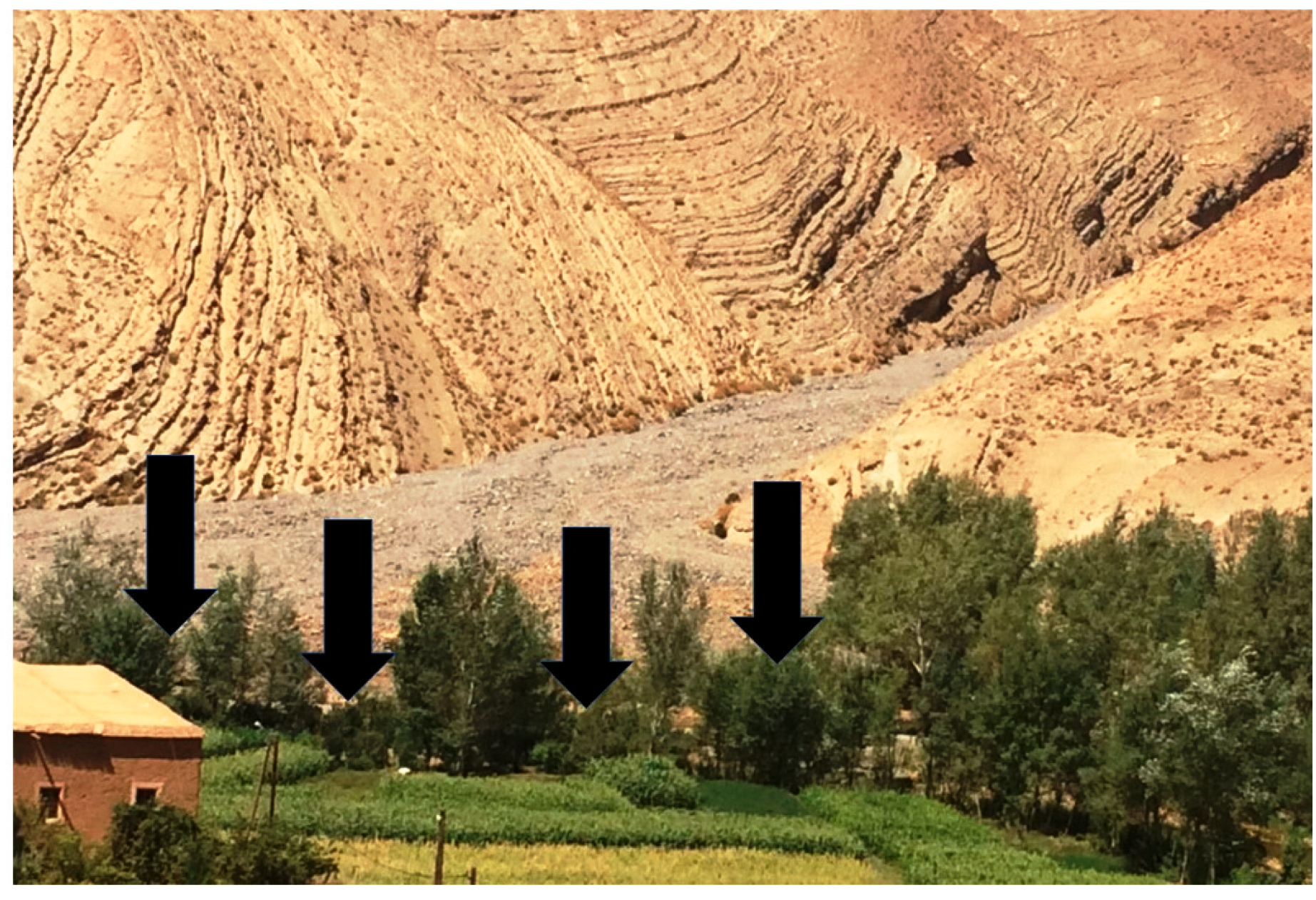 Education 12 00772 g006