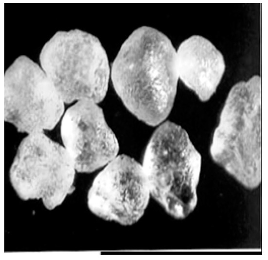 Education 12 00772 g0a3