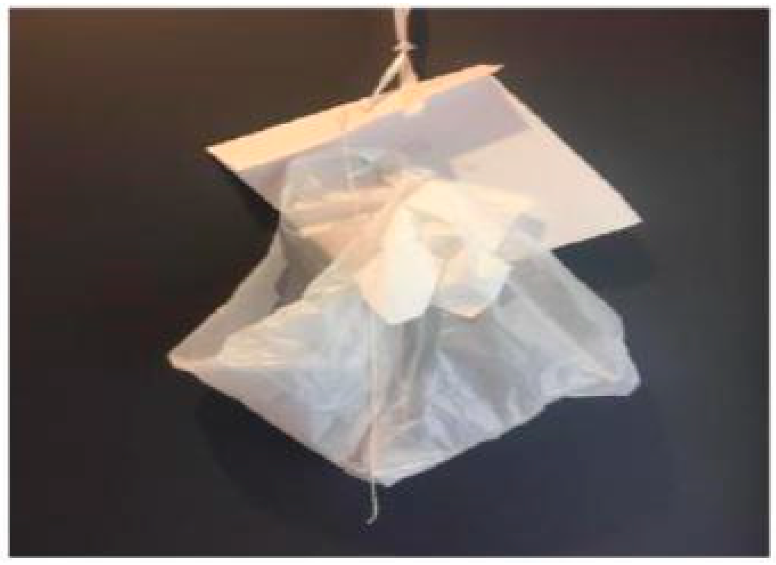 Education 13 00074 g016