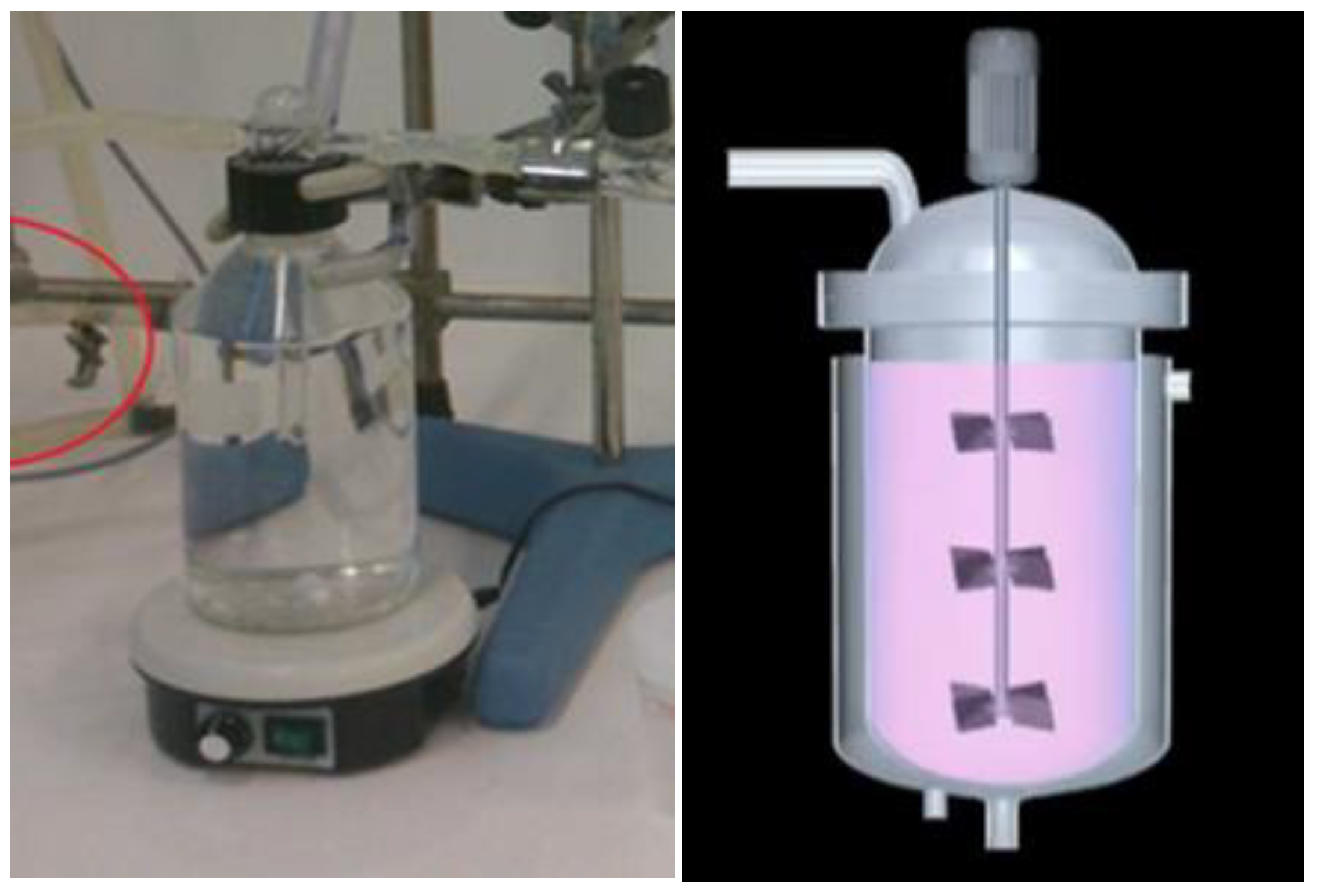 Education 13 00084 g003 Education 13 00084 g003