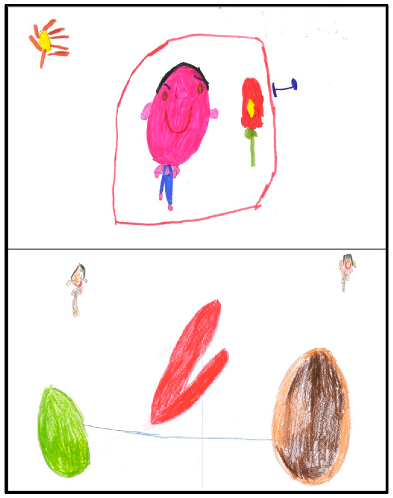 Education 13 00149 g003