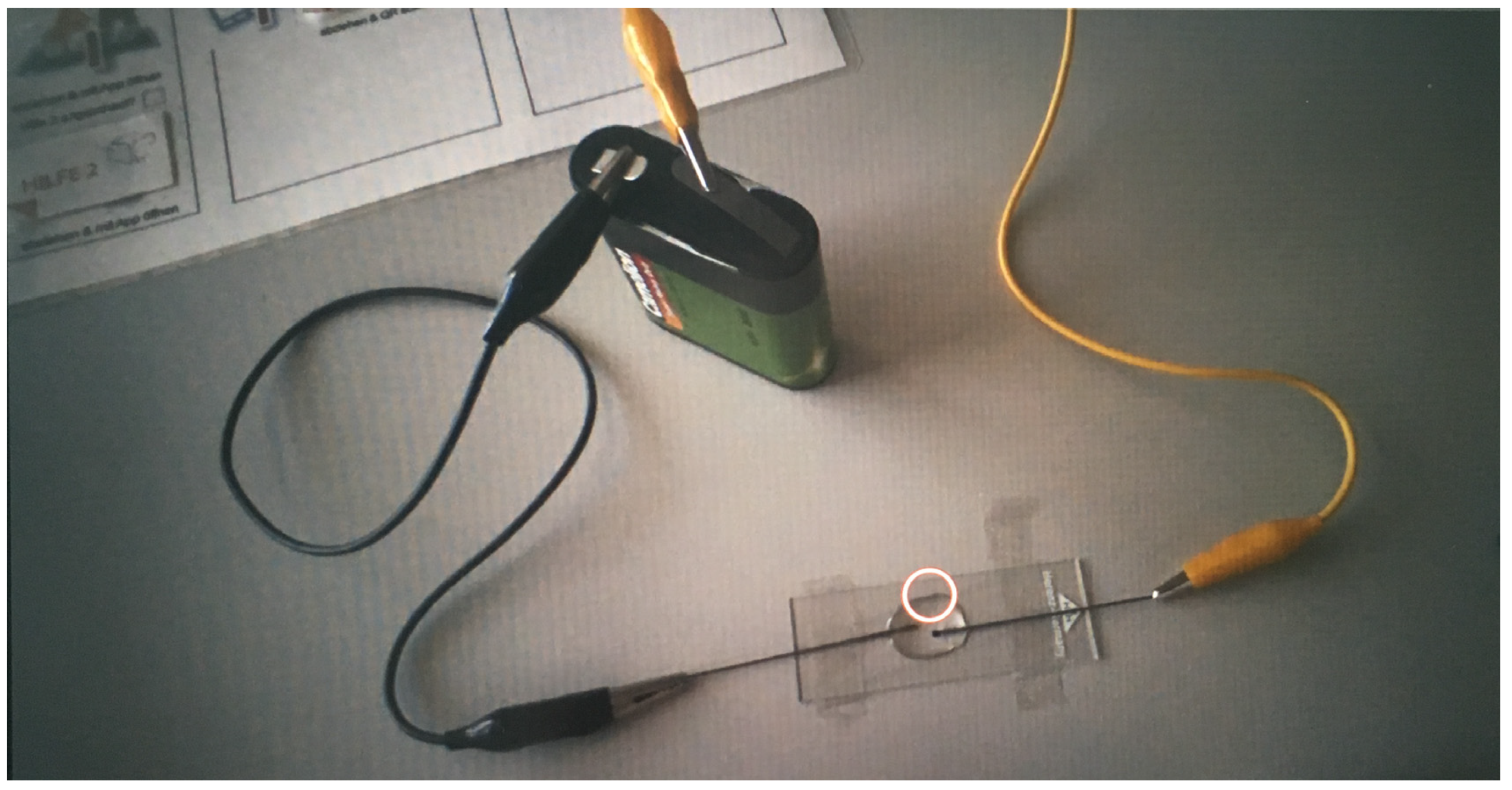 Education 13 00170 g001