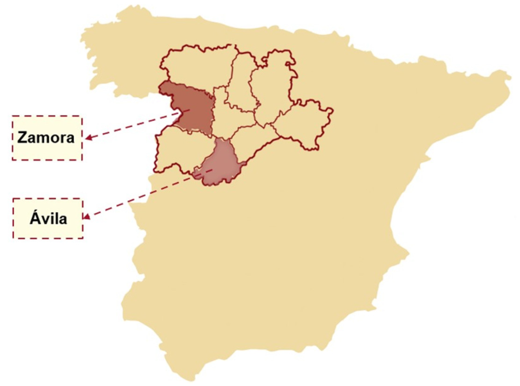 Education 13 00174 g001 Education 13 00174 g001