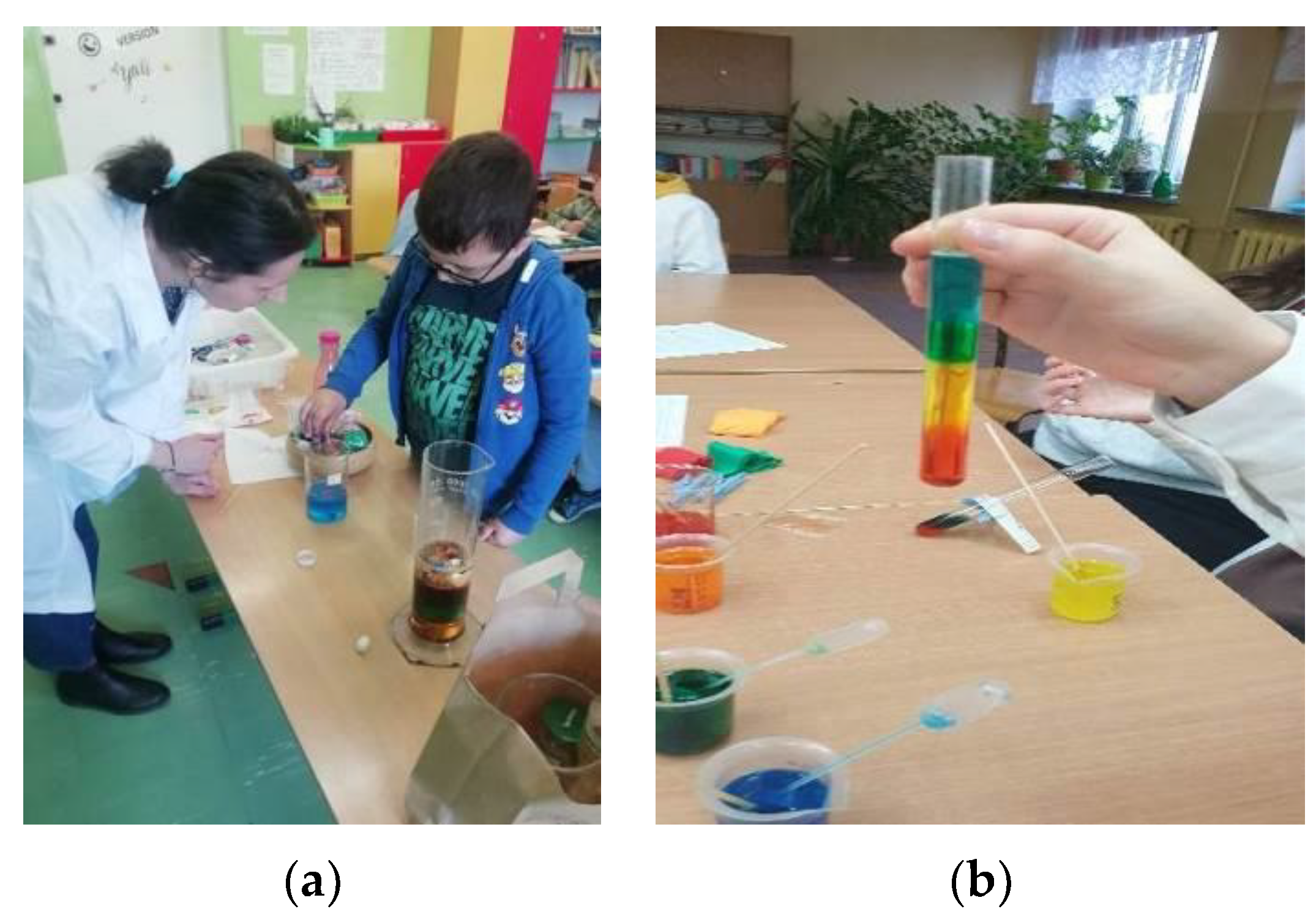 Education 13 00195 g005