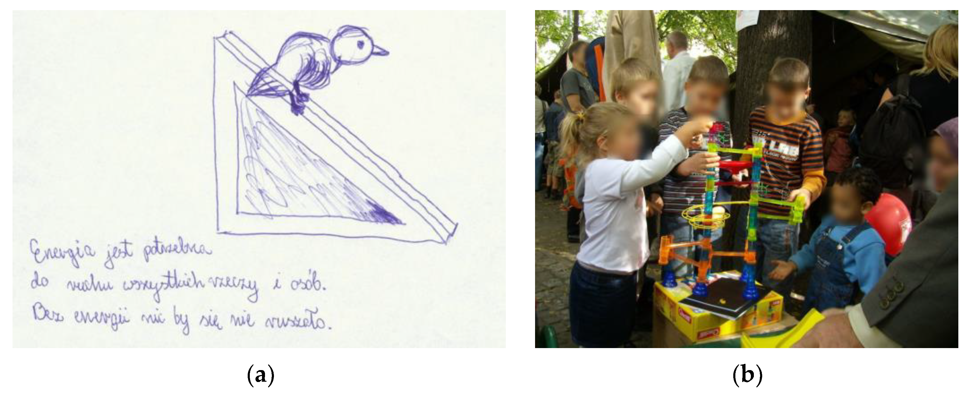 Education 13 00195 g007