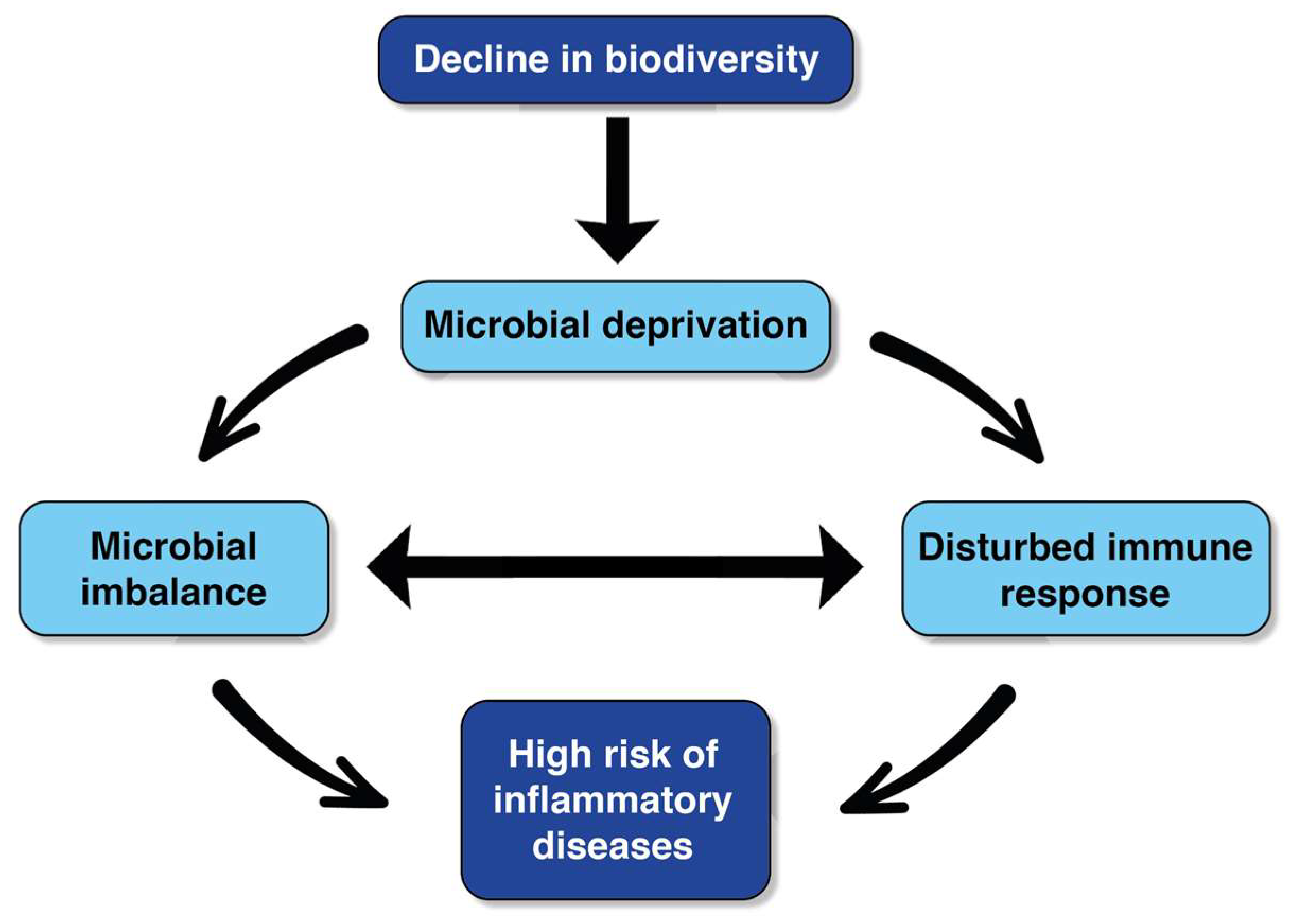 Education 13 00211 g001