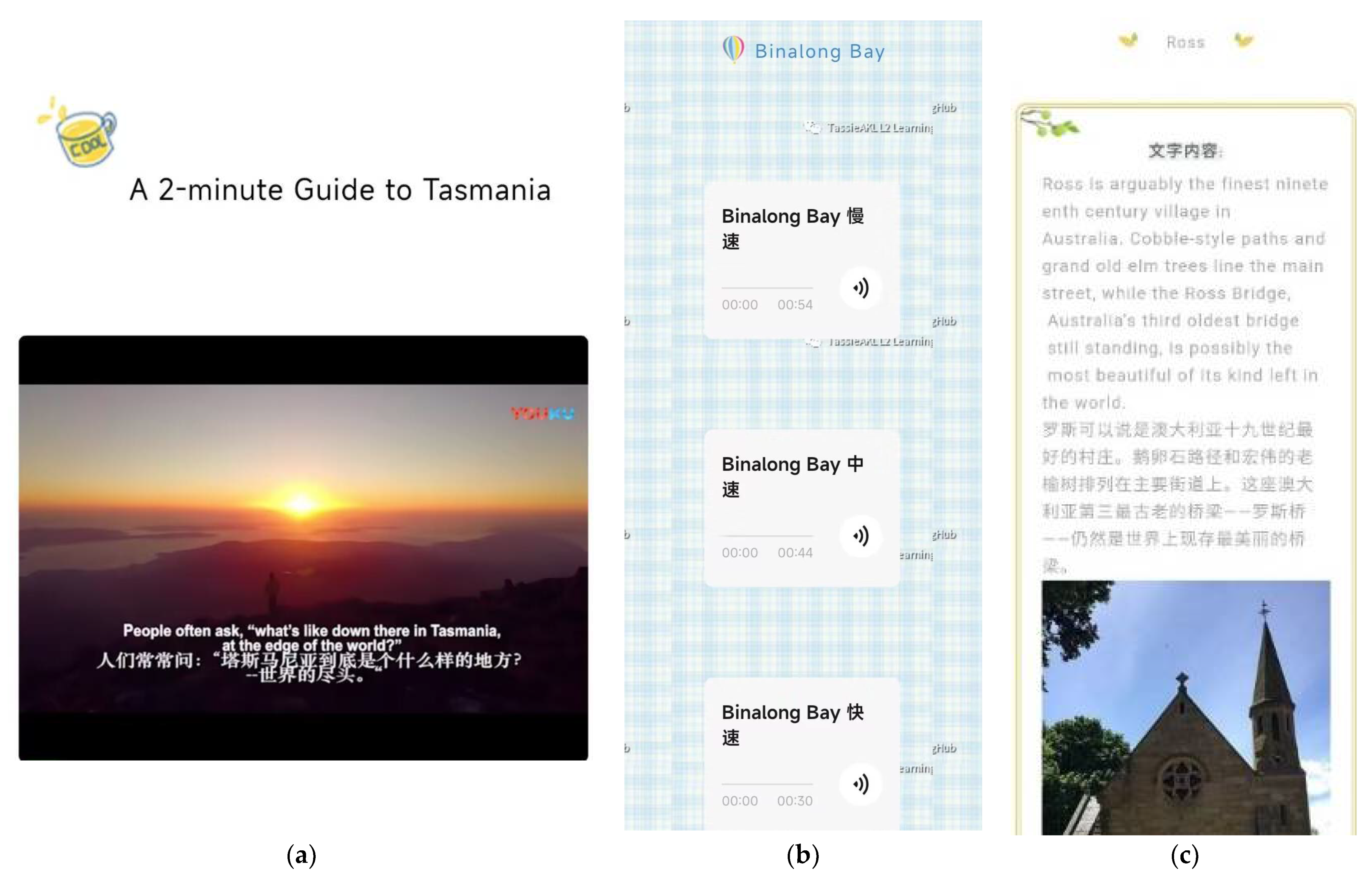 Education 13 00236 g001