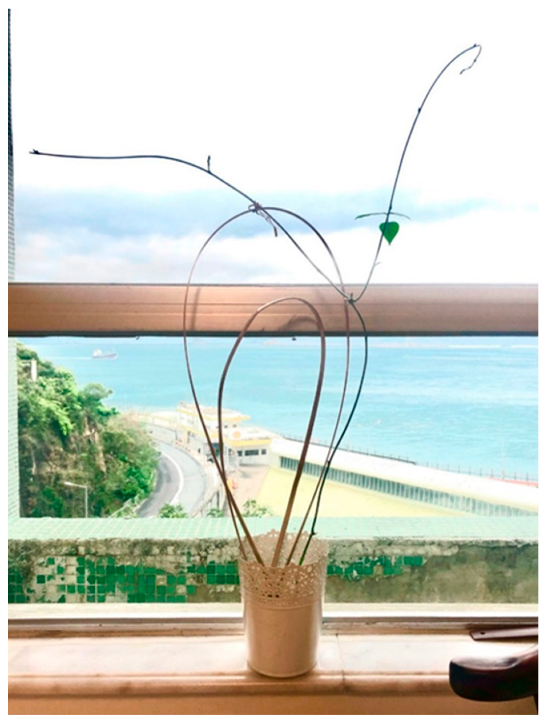 Education 13 00342 g012