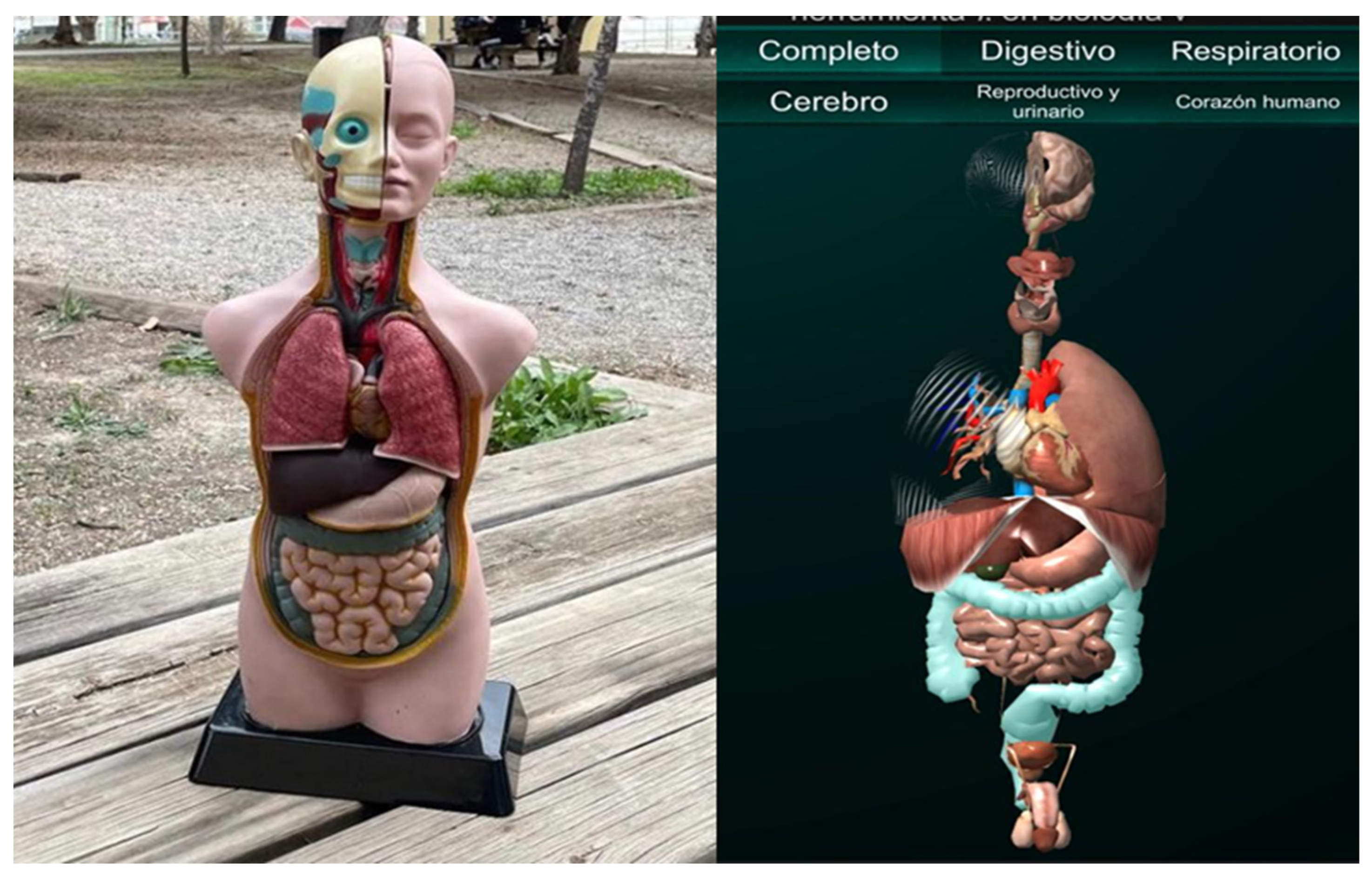 Education 13 00343 g002