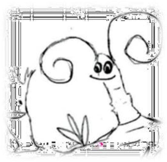 Education 13 00392 g0a1