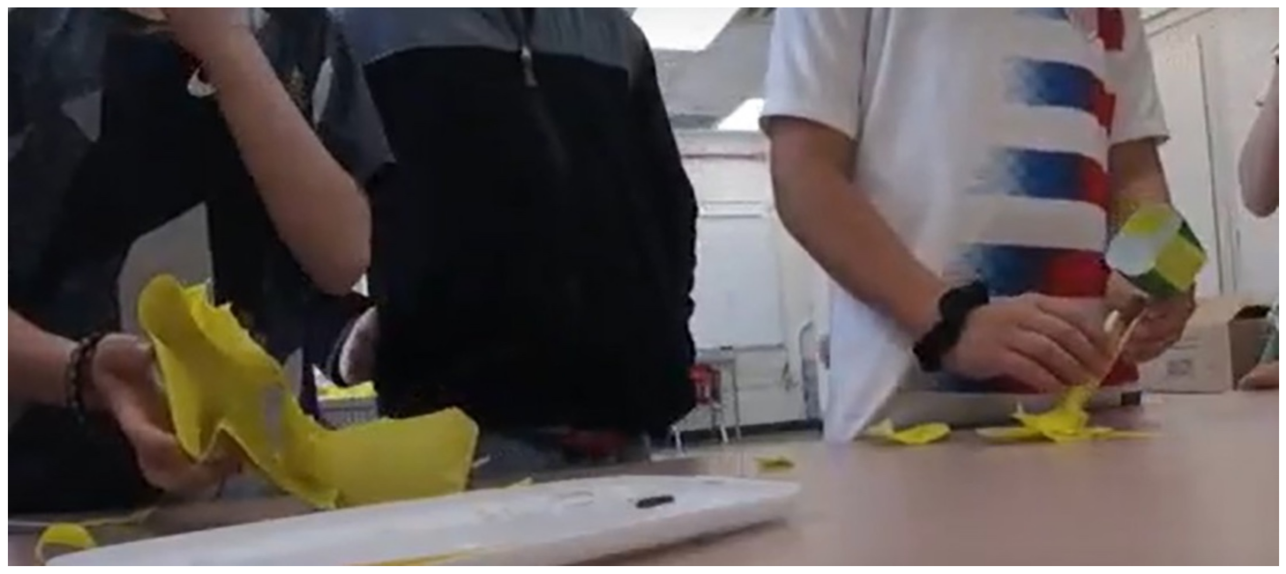 Education 13 00435 g006