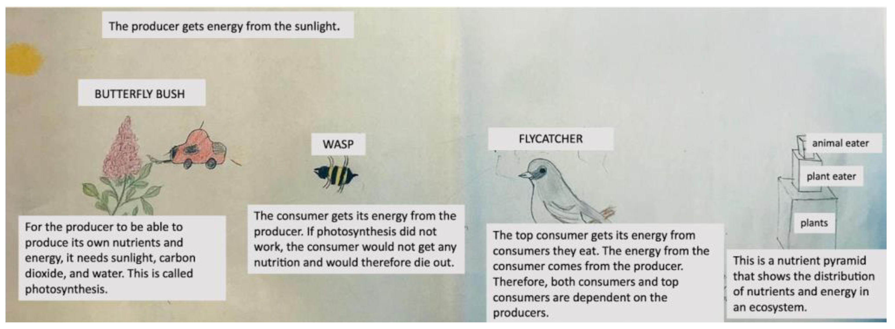 Education 13 00443 g001