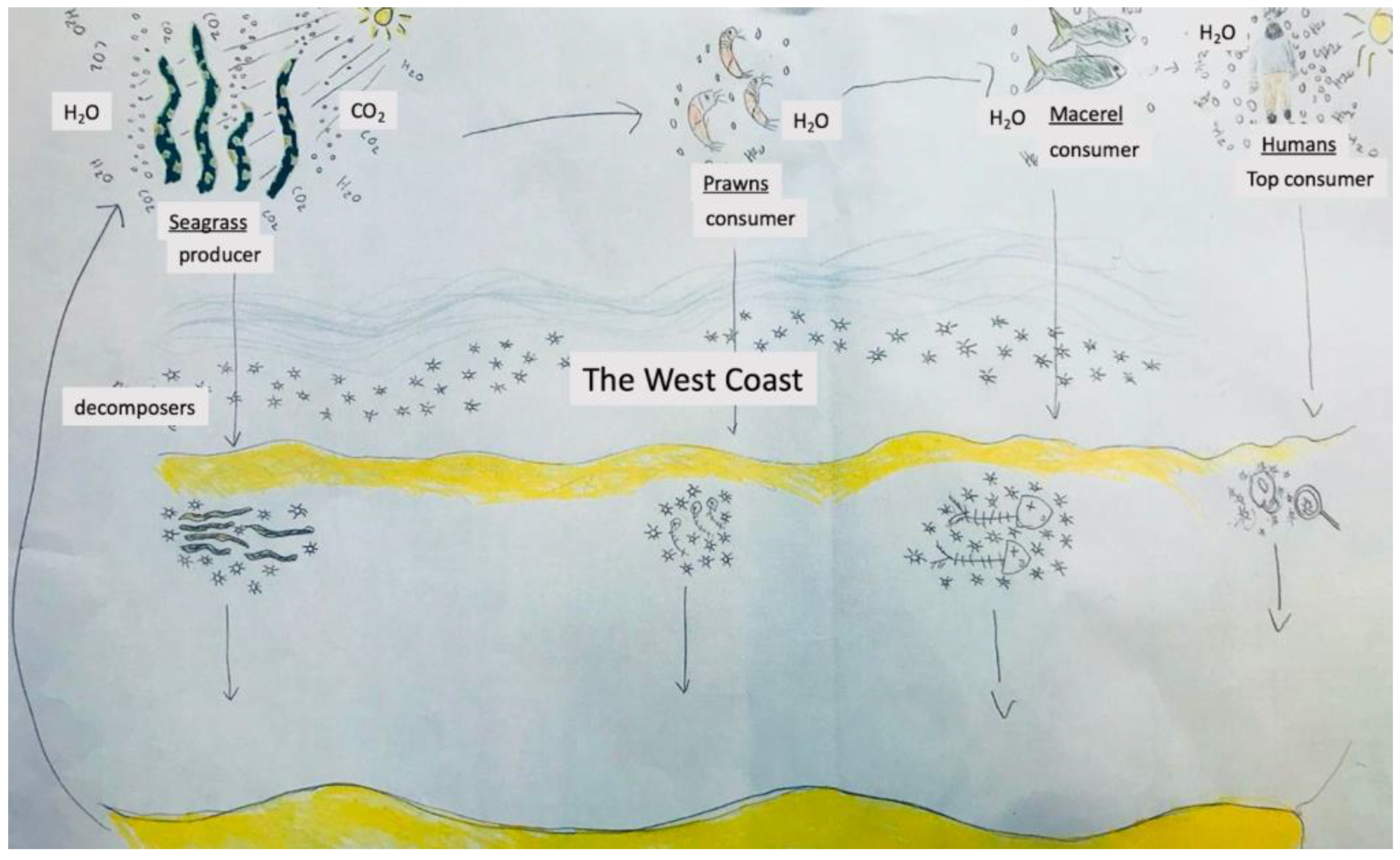 Education 13 00443 g002