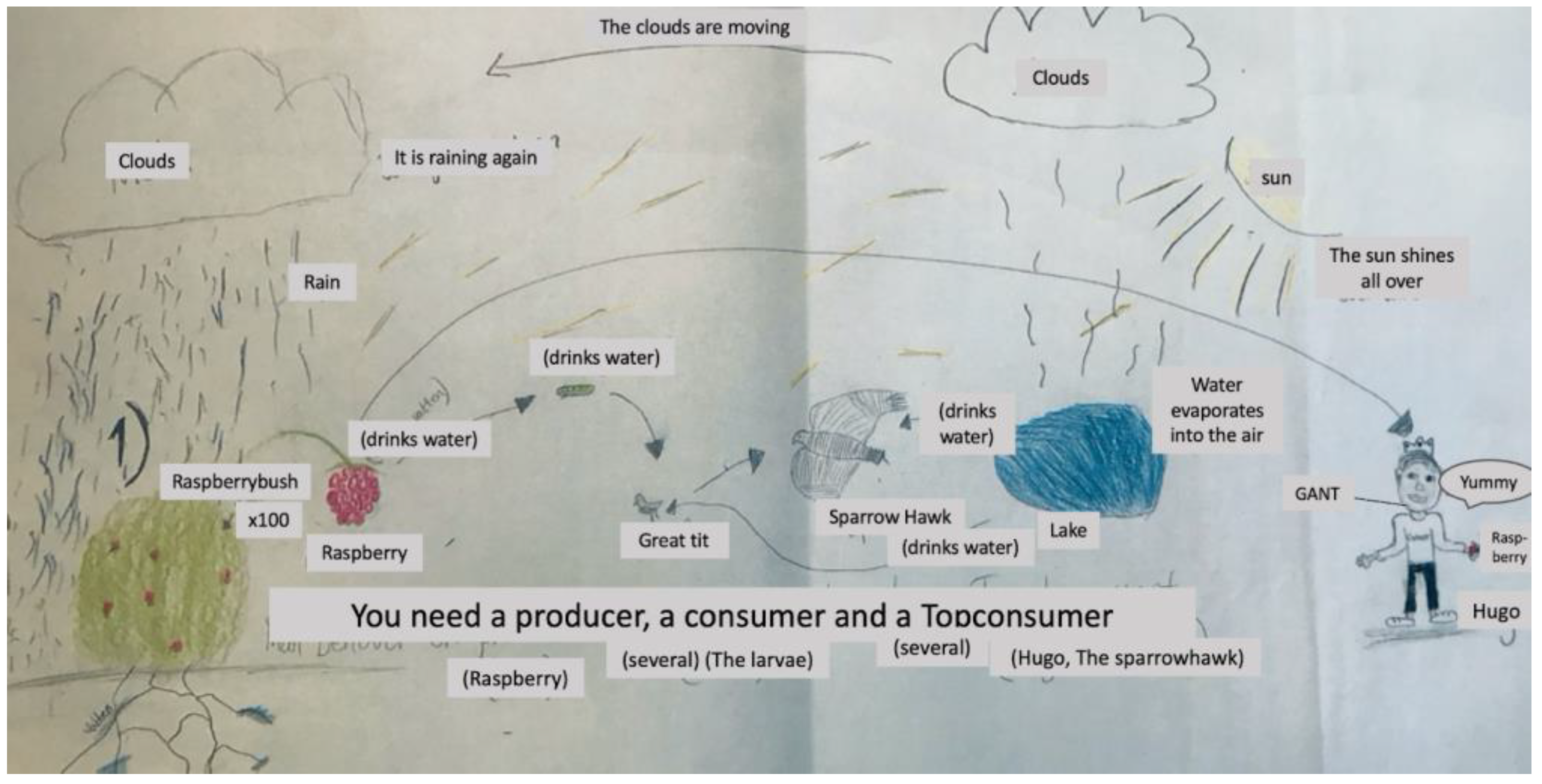 Education 13 00443 g003