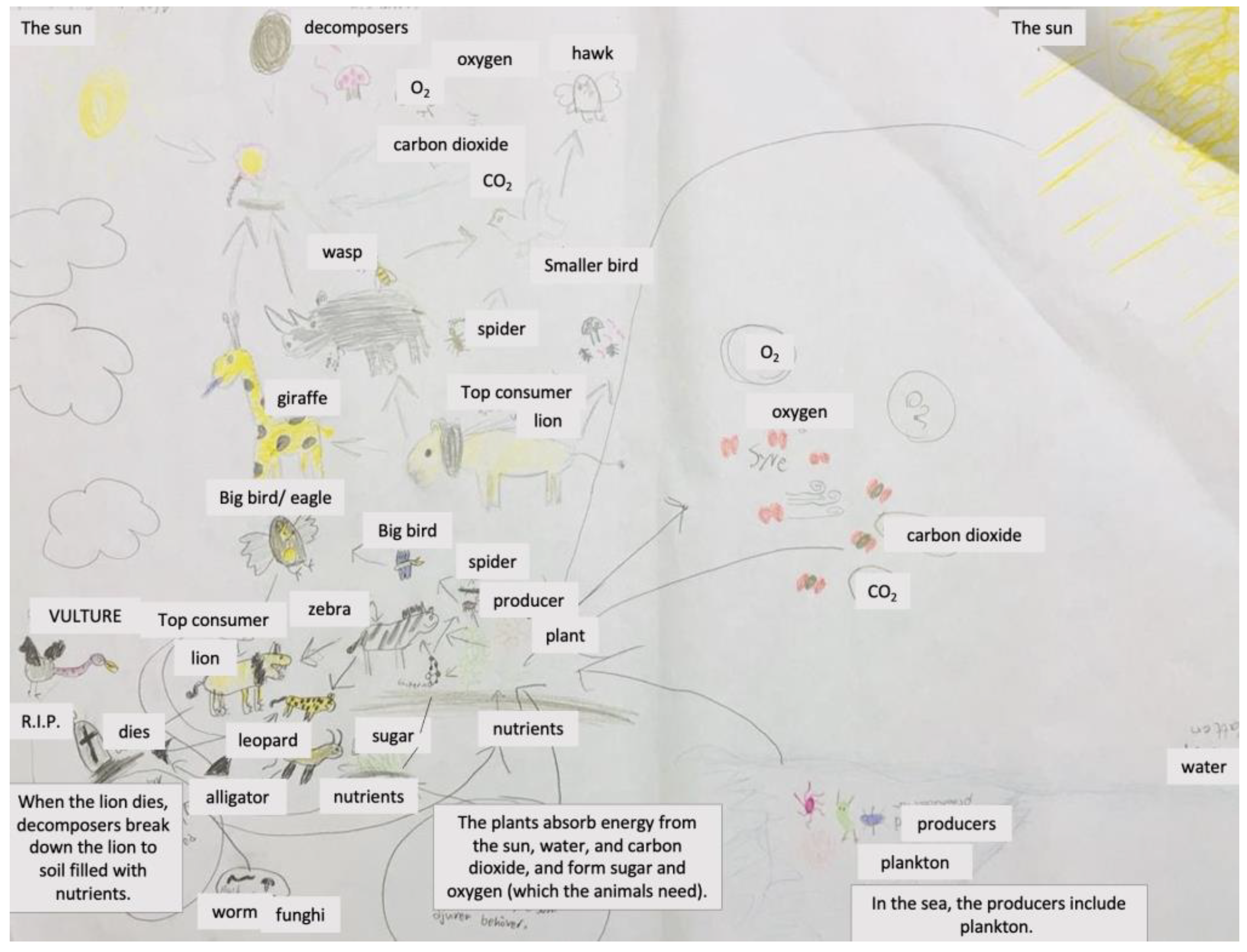 Education 13 00443 g004