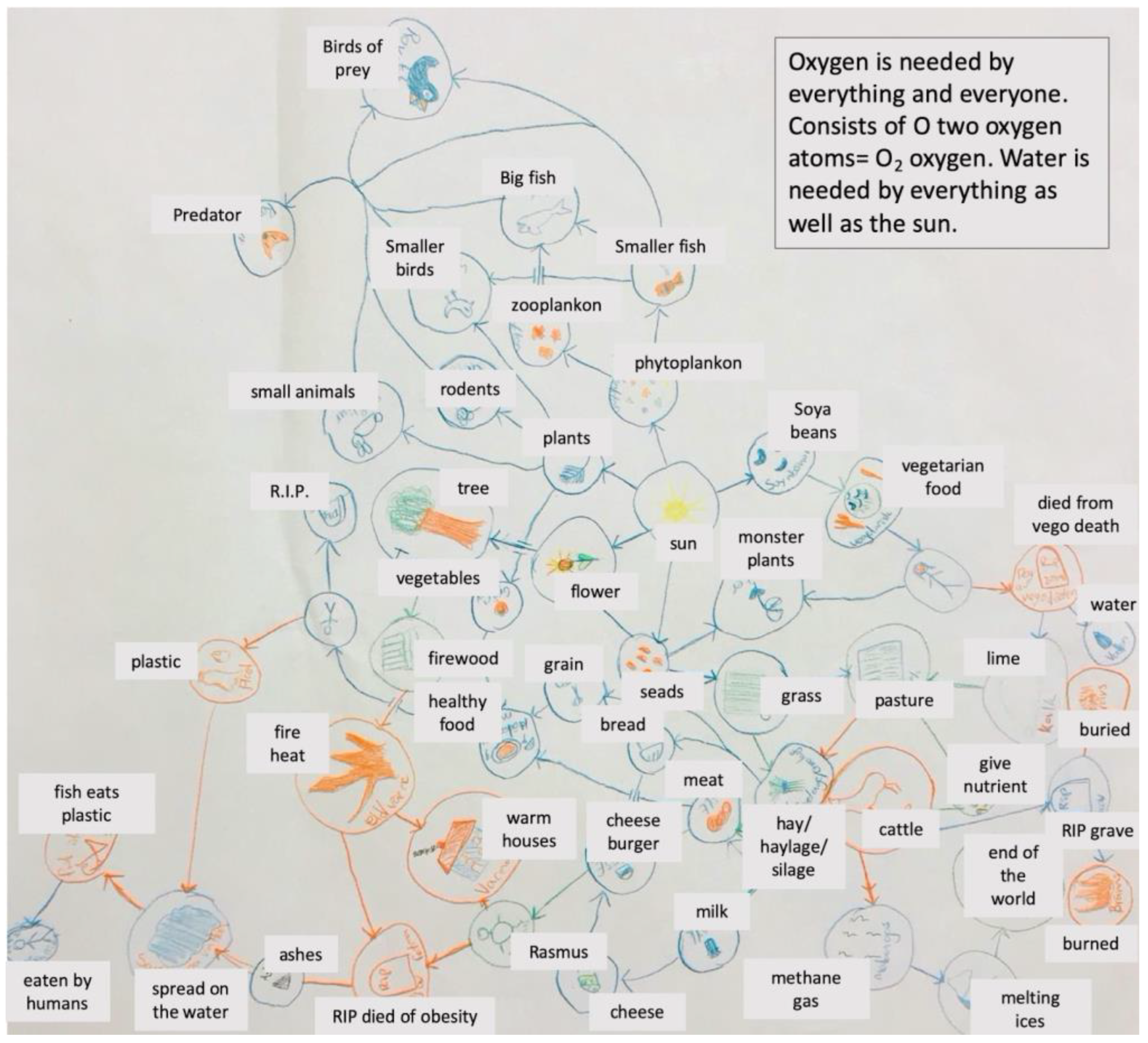 Education 13 00443 g005