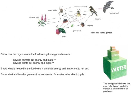 Education 13 00443 g0a1