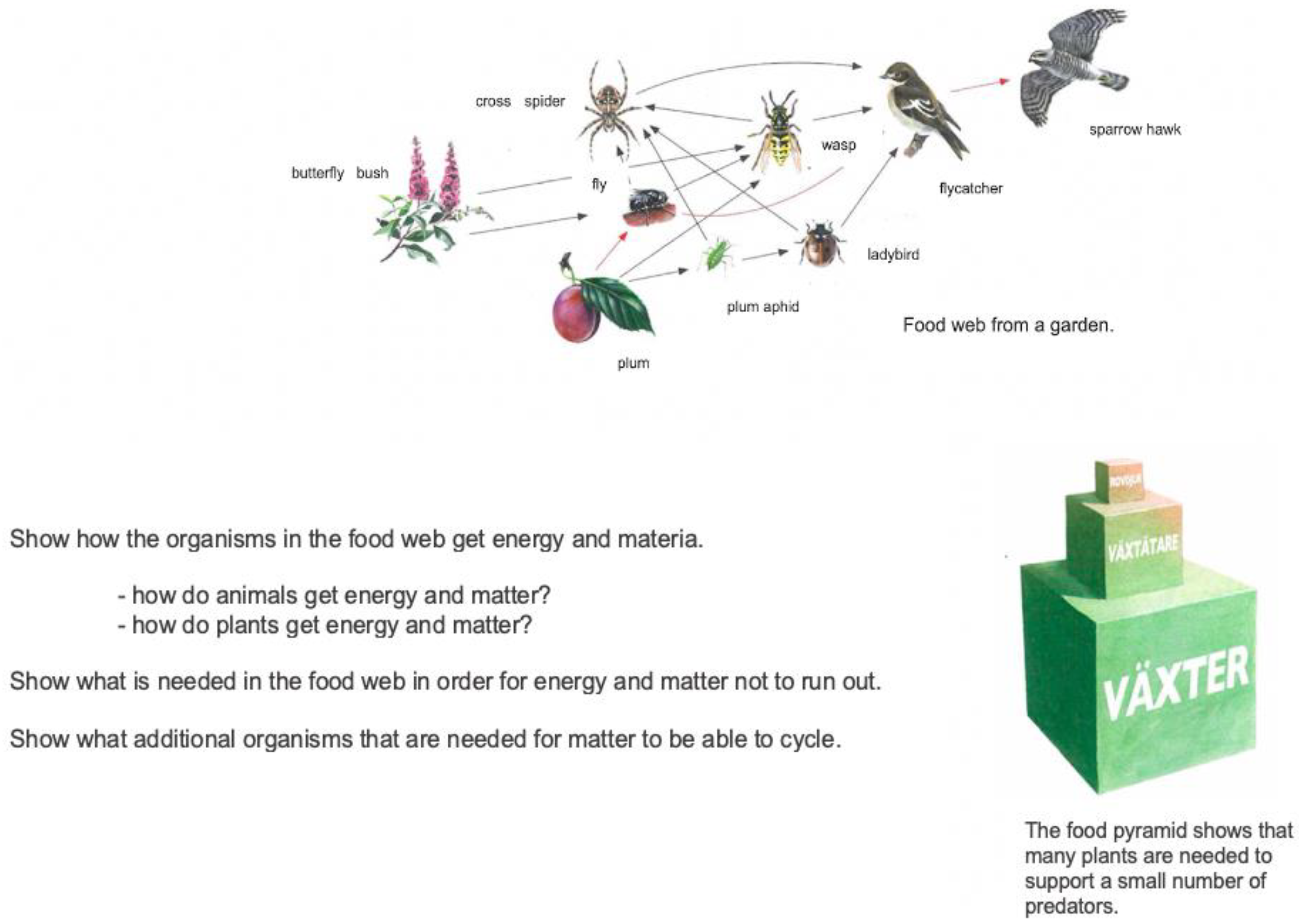 Education 13 00443 g0a1