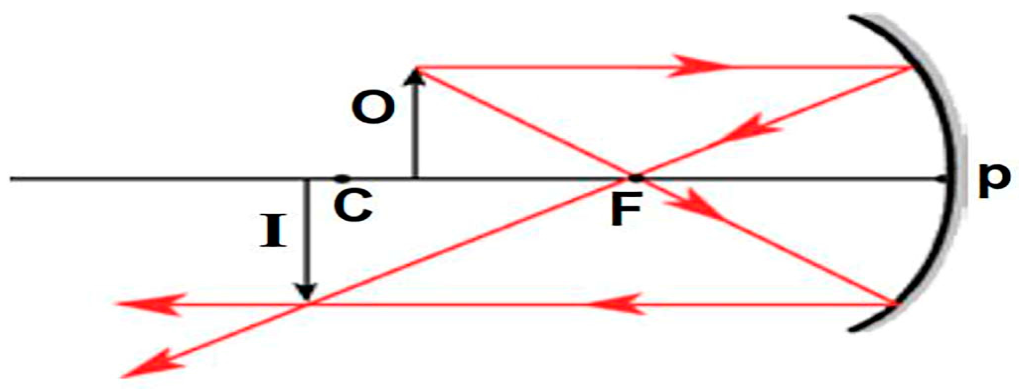 Education 13 00445 g001