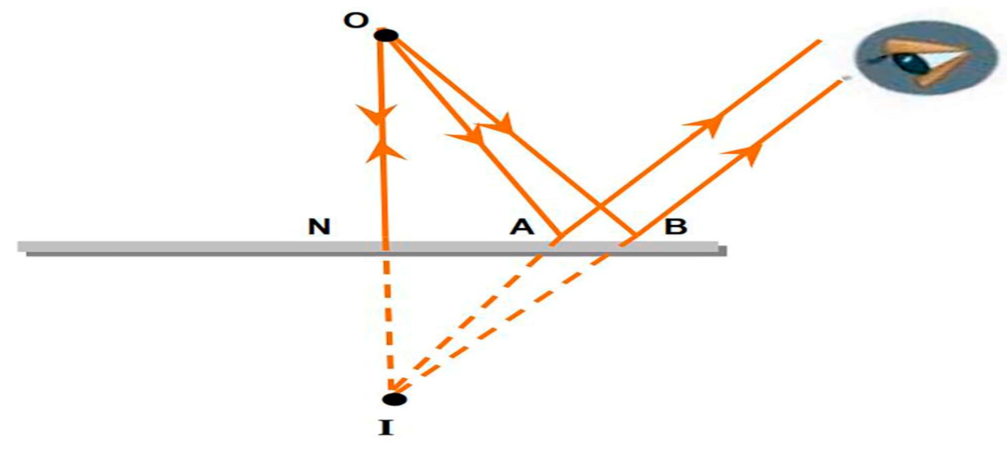 Education 13 00445 g002