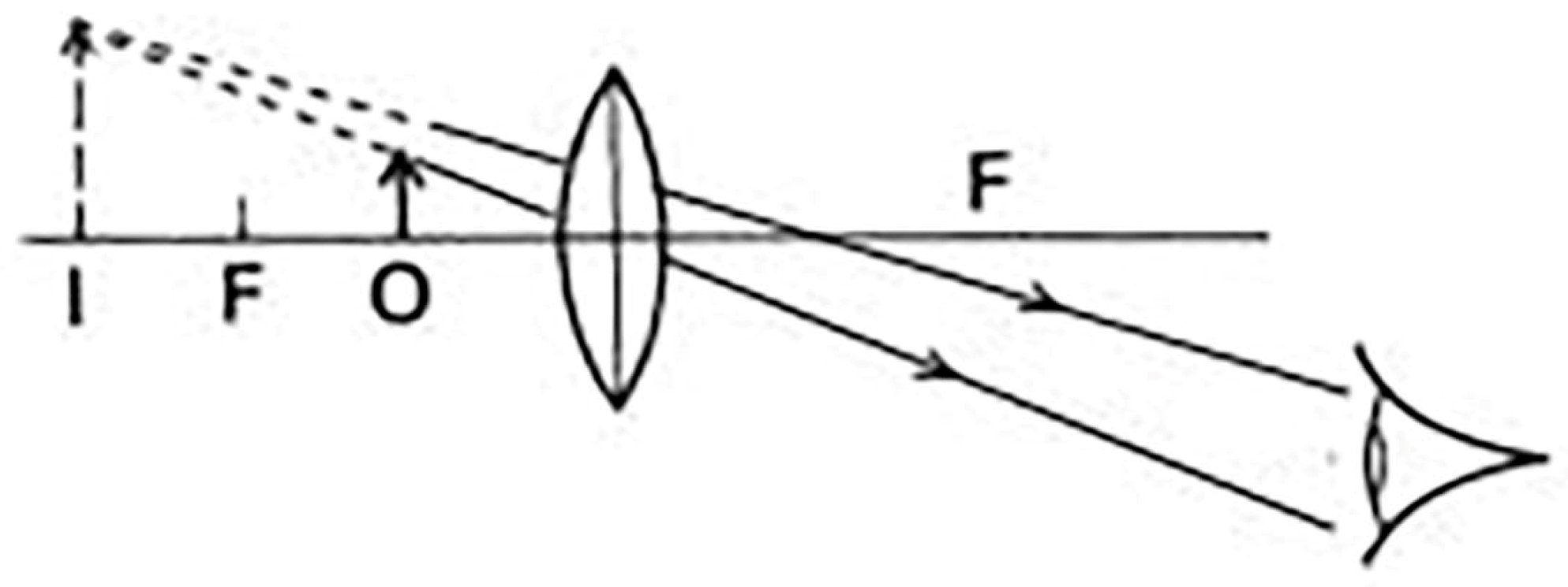 Education 13 00445 g003