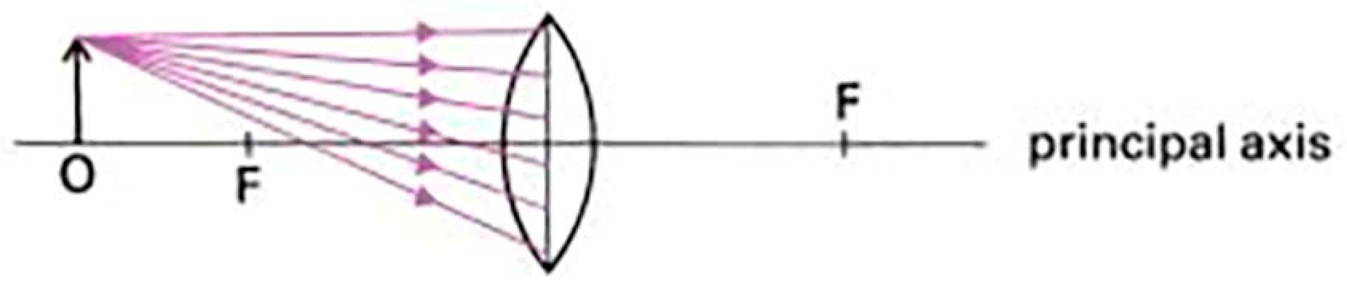 Education 13 00445 g004