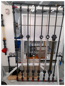 Education 13 00650 i008 Education 13 00650 i008