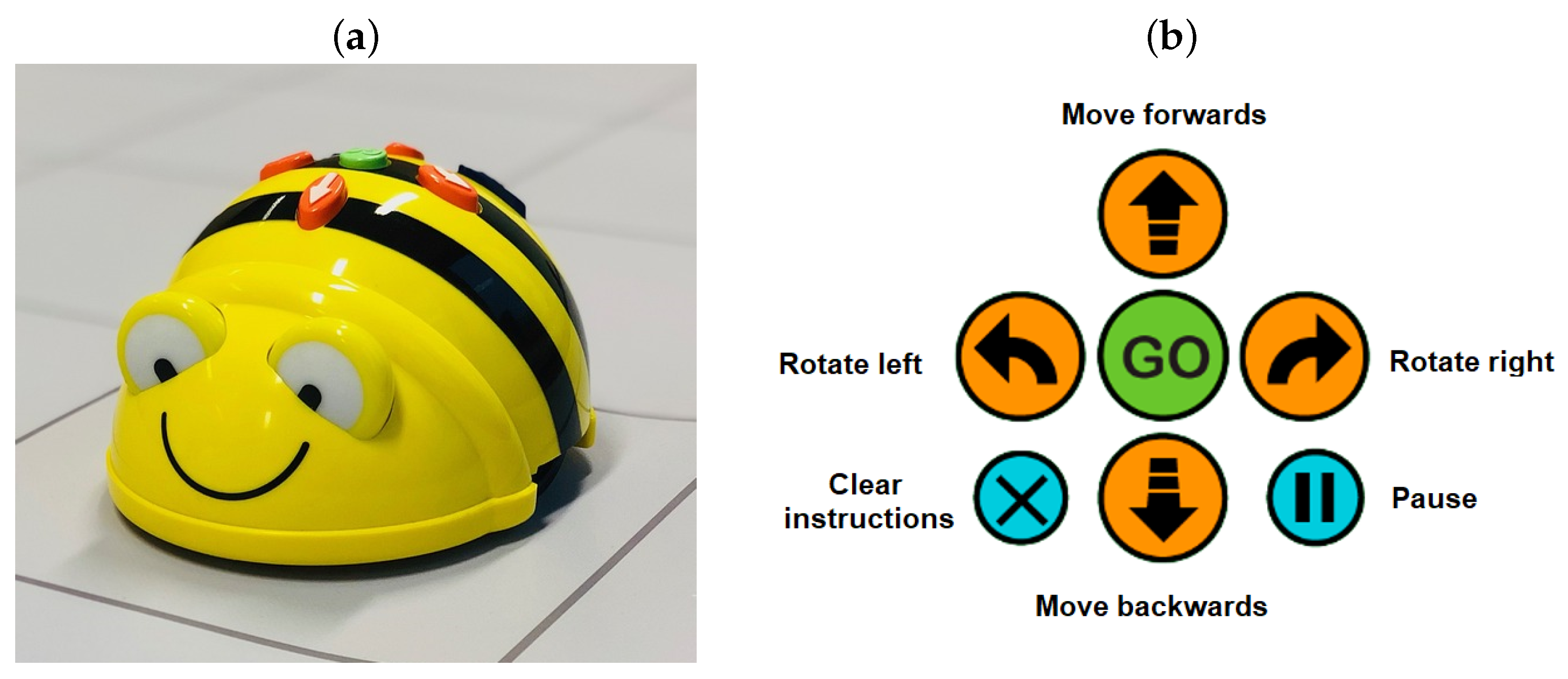 Education 13 00669 g001