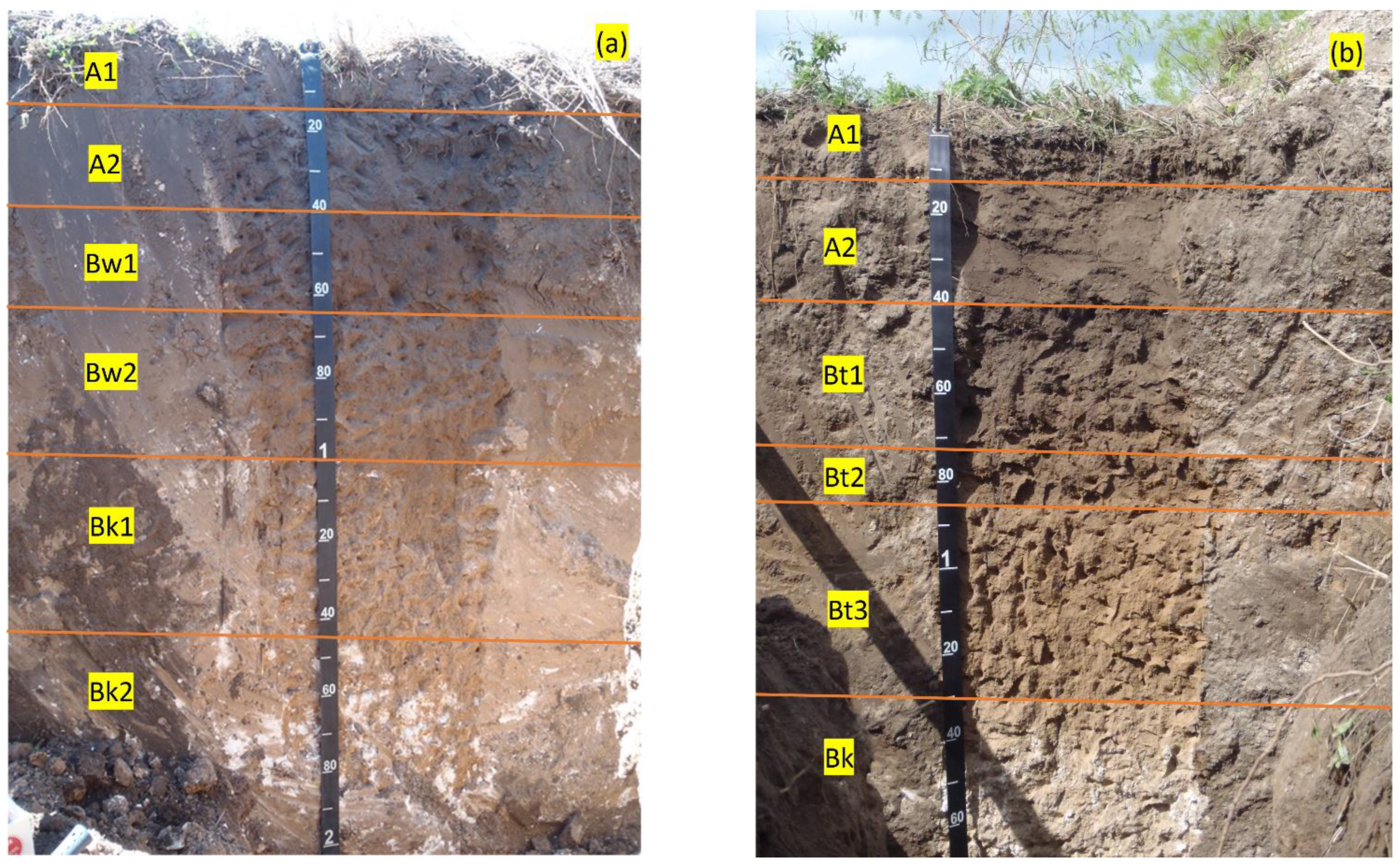 Education 13 00717 g001