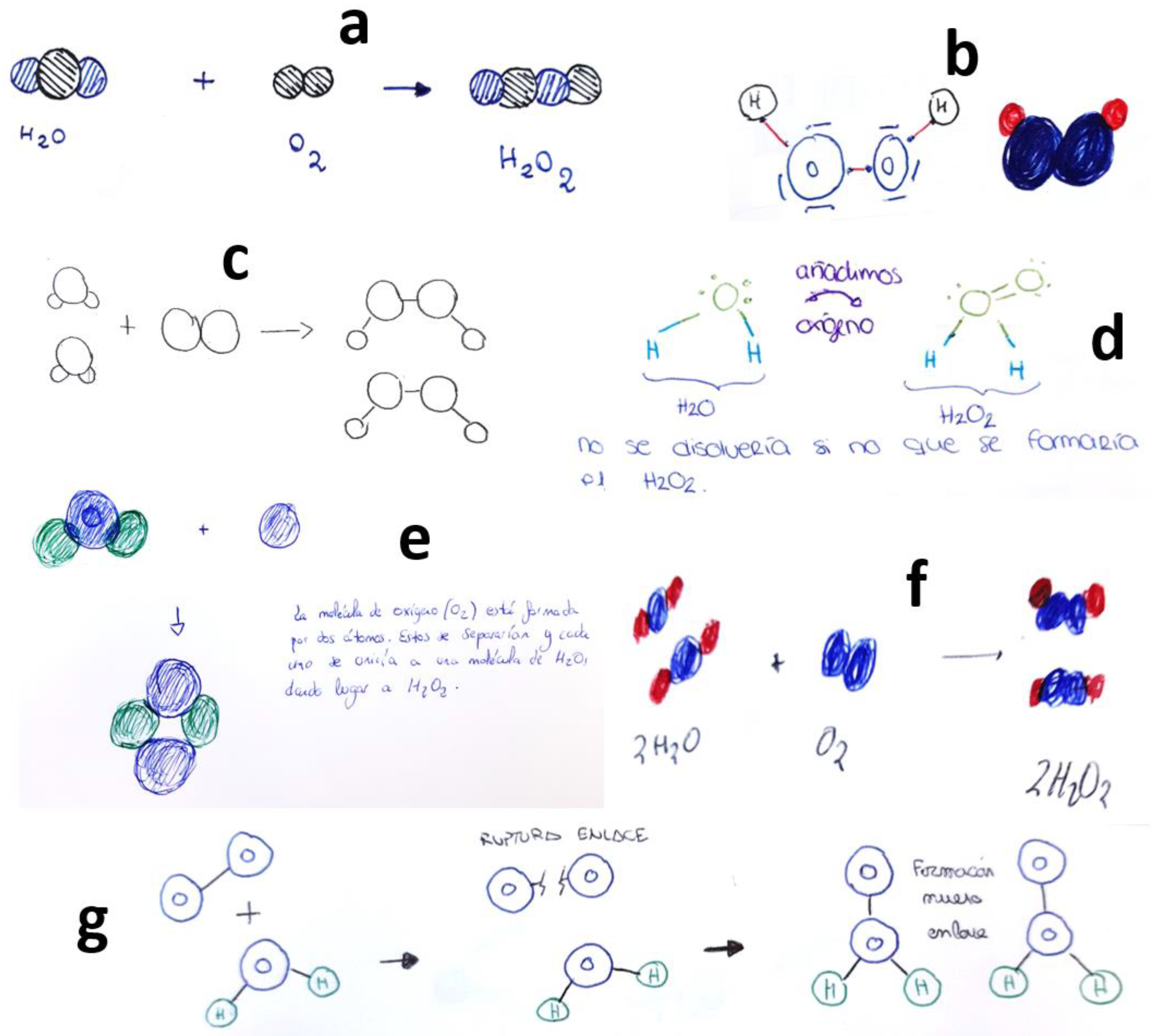 Education 13 00781 g005