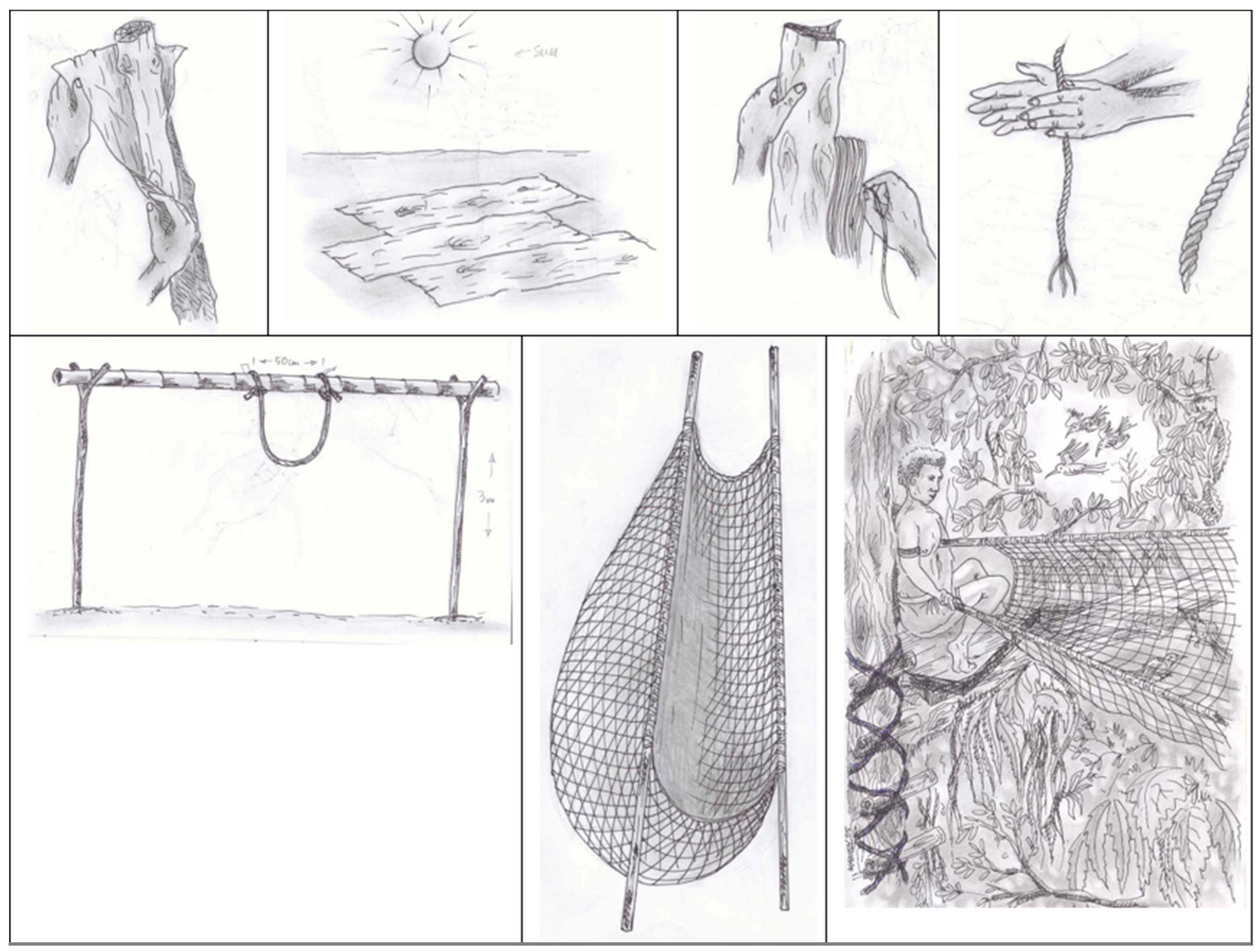 Education 13 00868 g001