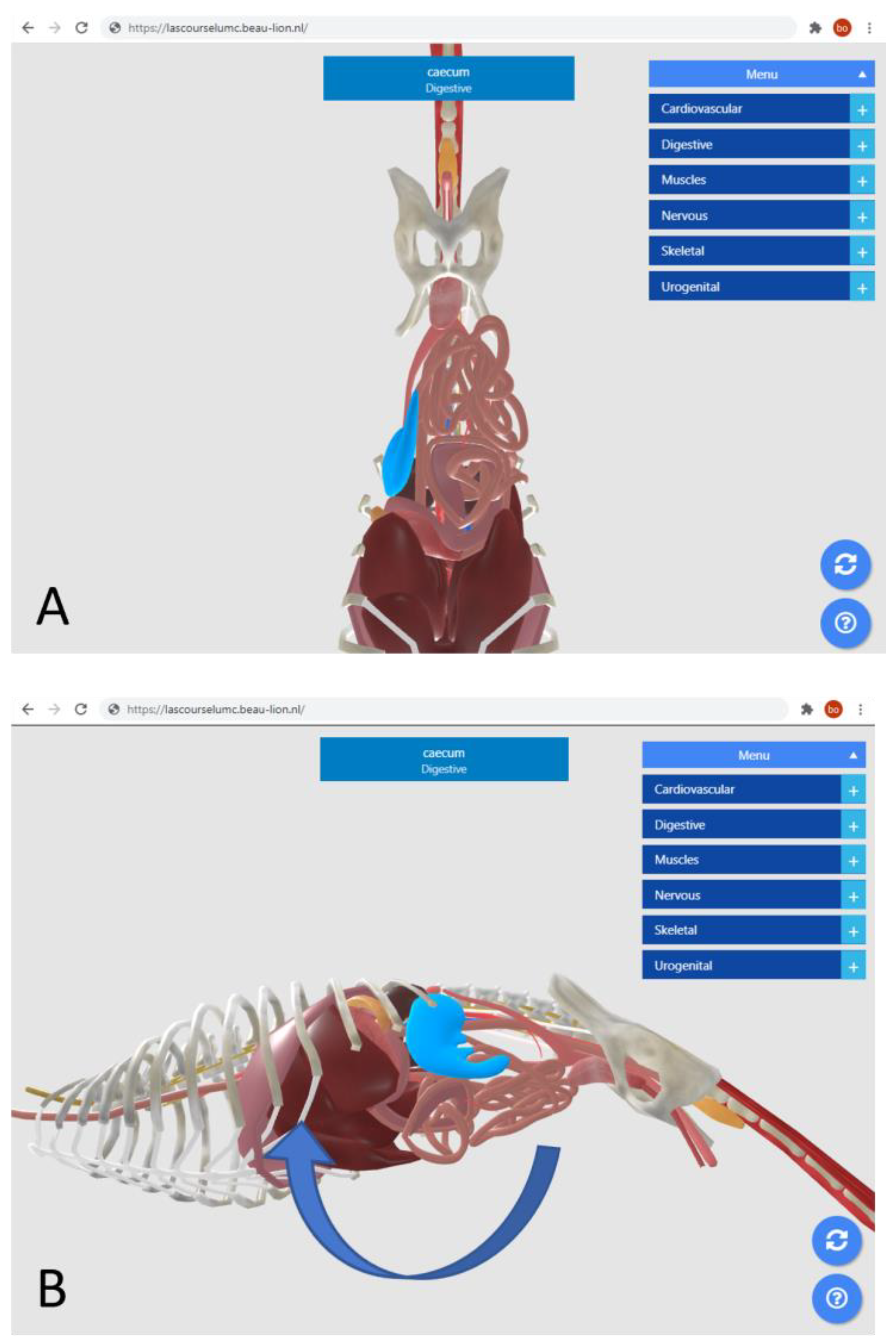 Education 13 00992 g001