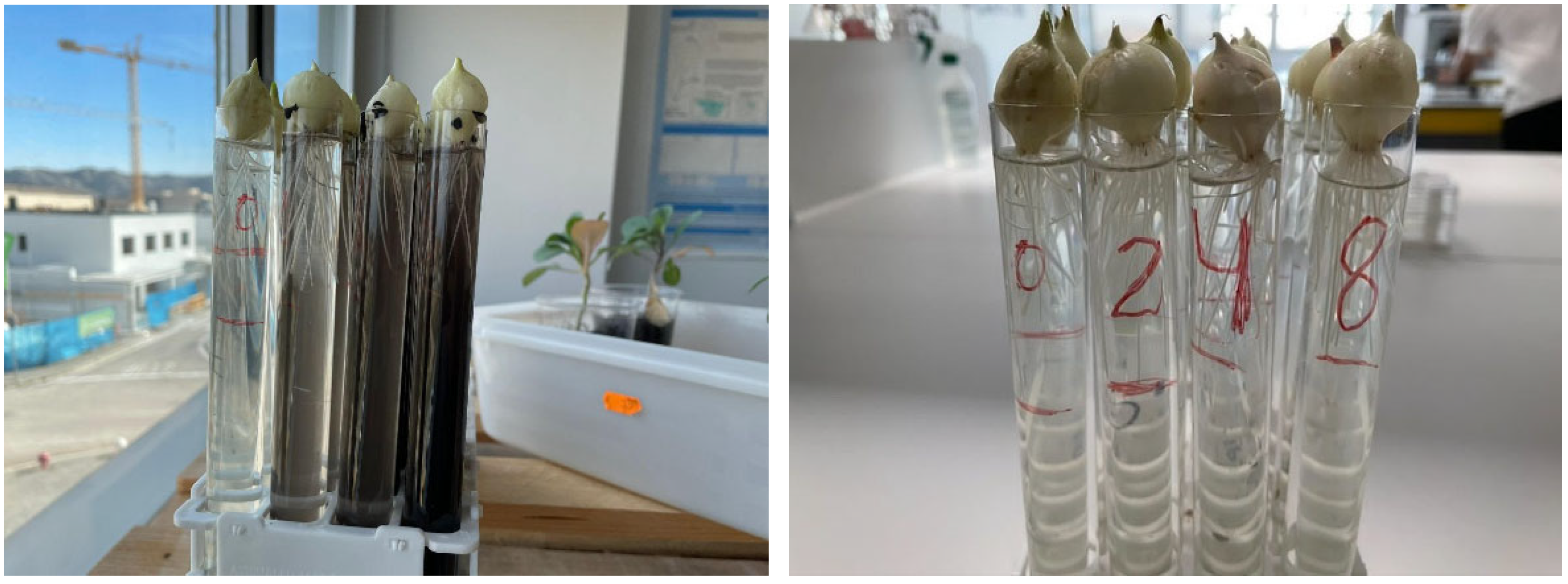 Education 13 01096 g001