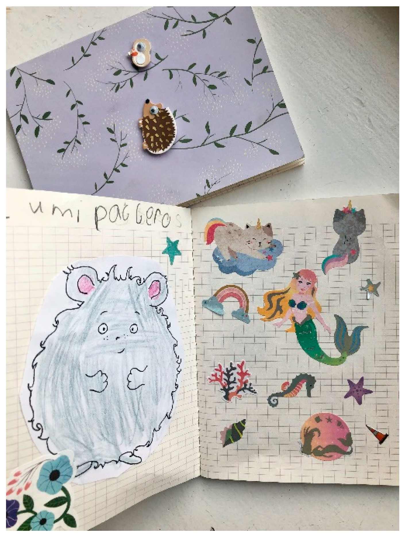 Education 13 01148 g002