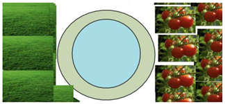 Education 14 00059 i005