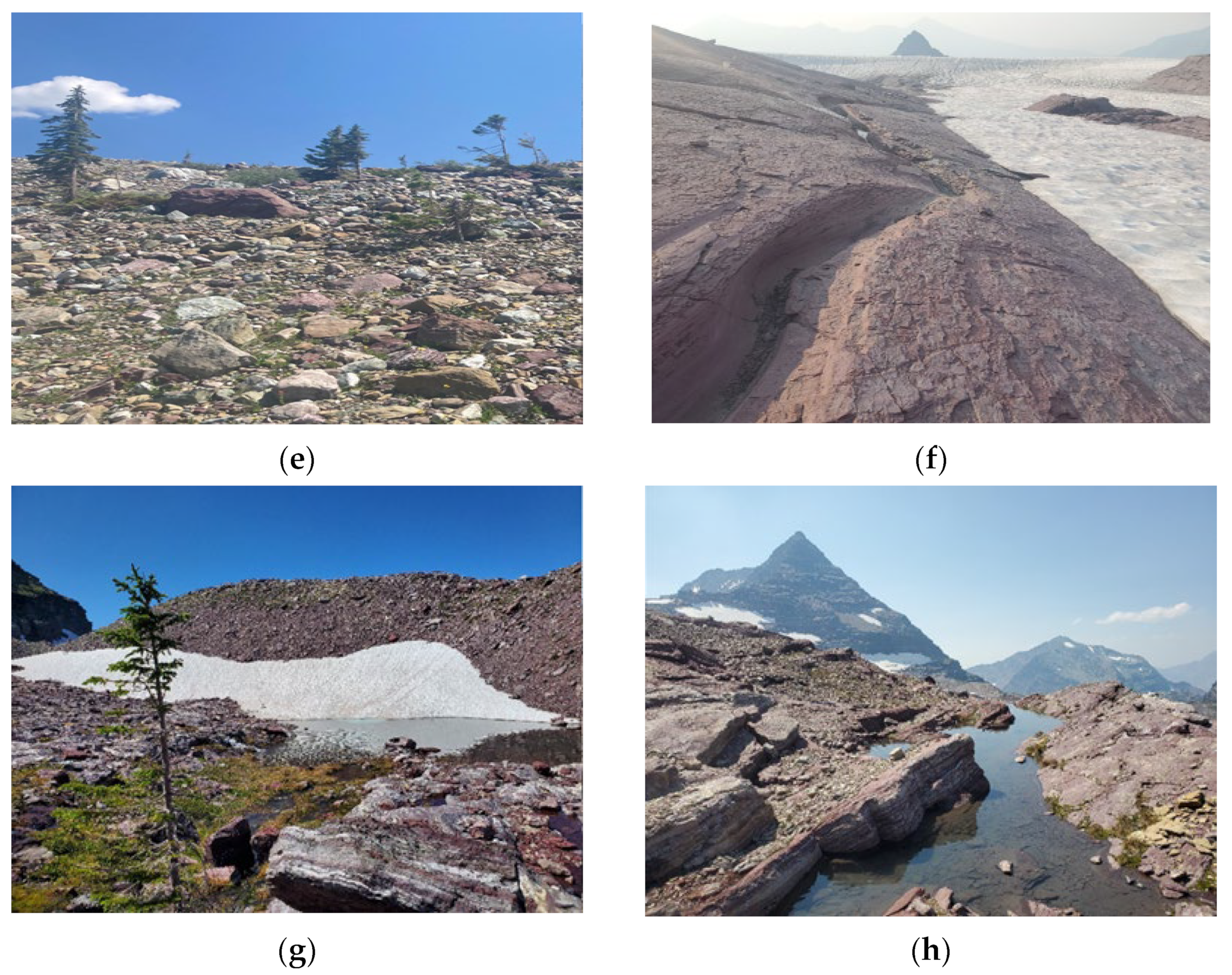 Education 14 00272 g004b