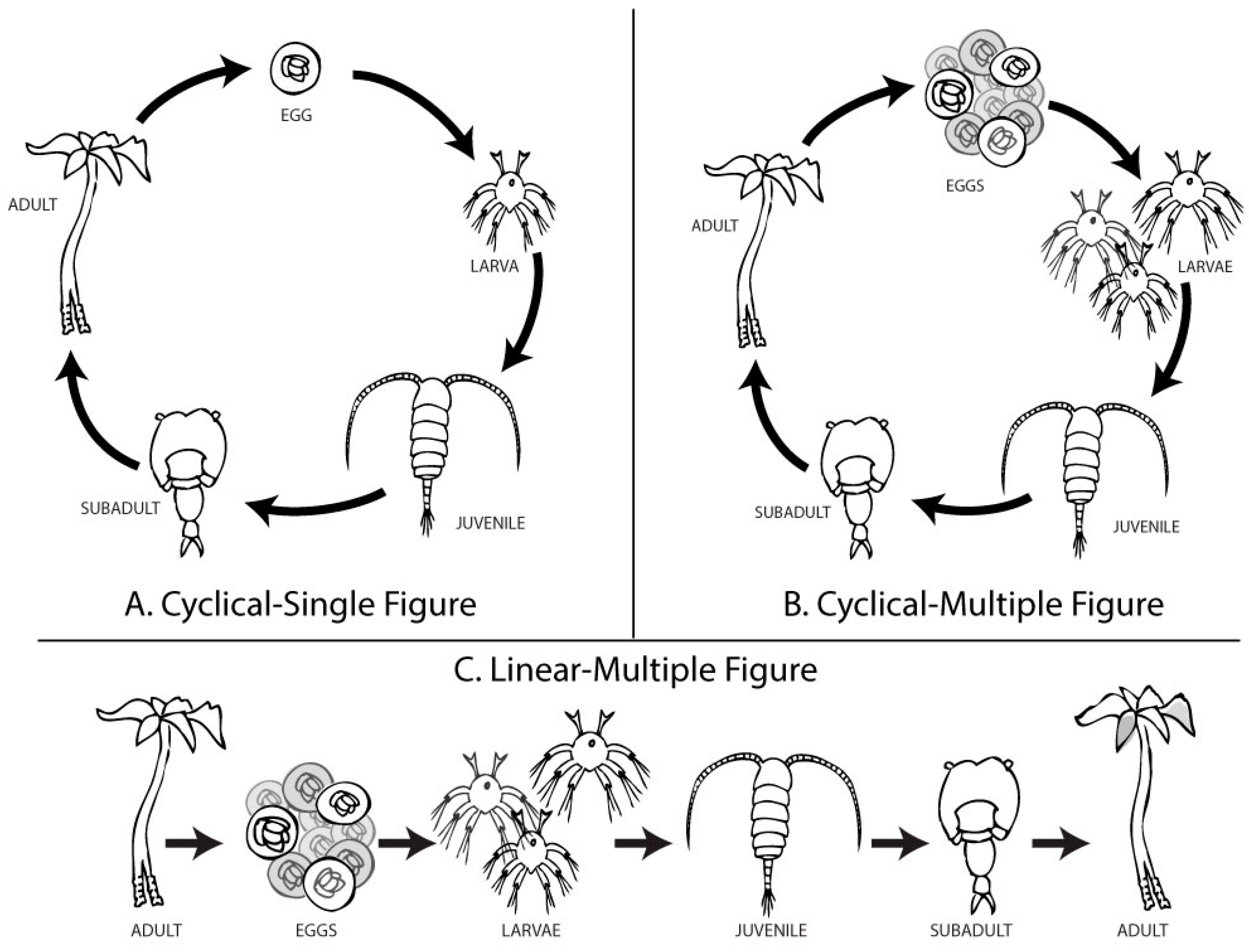 Education 14 00403 g002