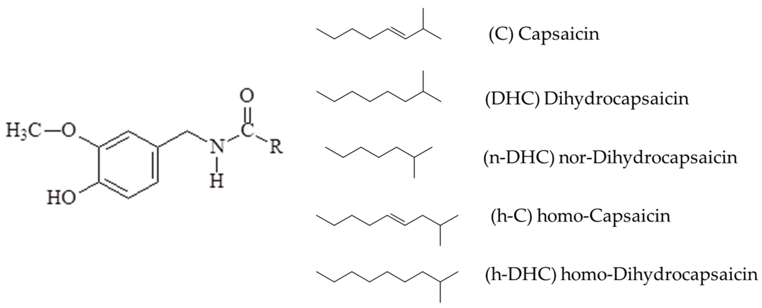 Education 14 00461 g002 Education 14 00461 g002