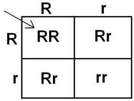 Education 14 01167 i001