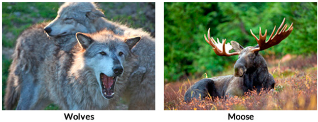 Education 14 01325 i001 Education 14 01325 i001