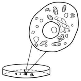 Education 14 01395 i004