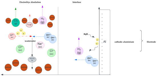 Education 15 00320 g002