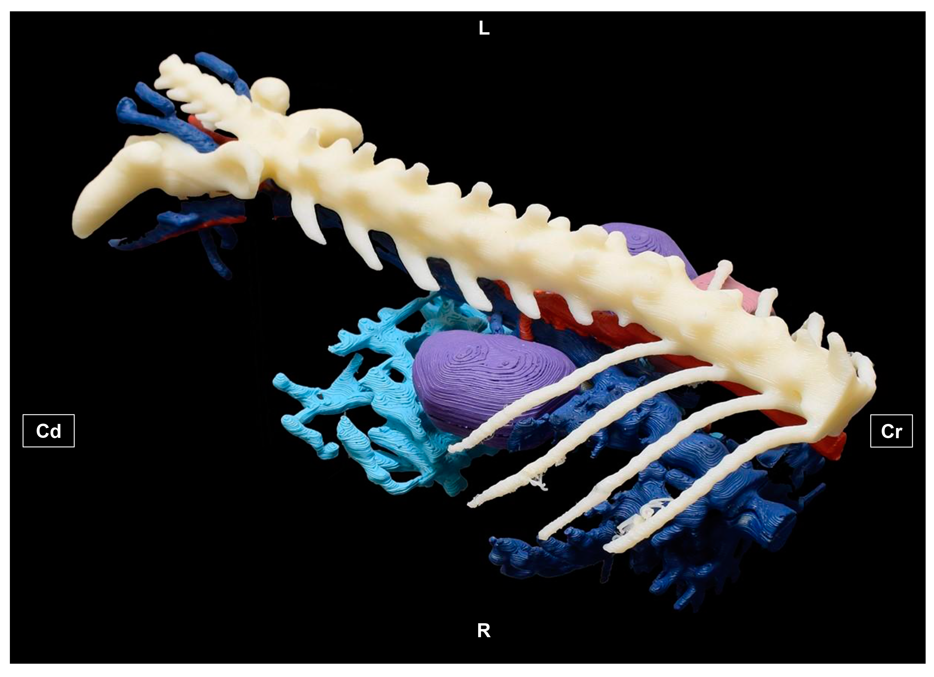 Education 15 00355 g001