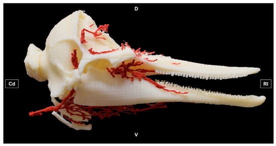 Education 15 00355 g002